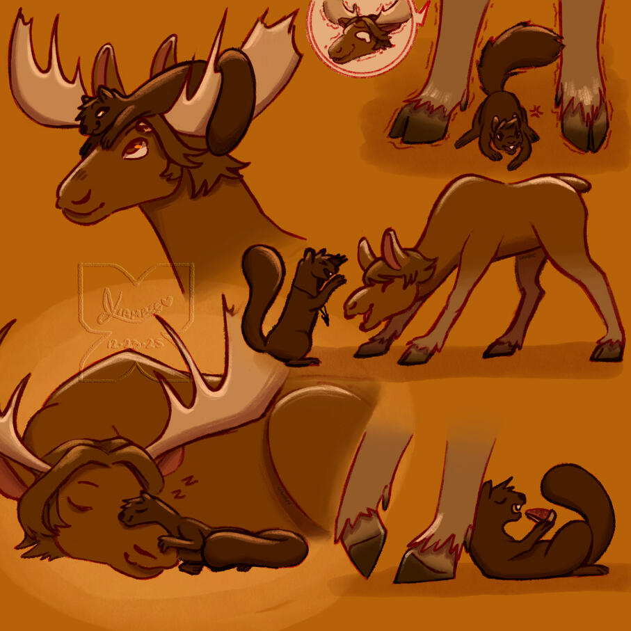 The brothers moose and squirrel [Supernatural; Sam &amp; Dean]